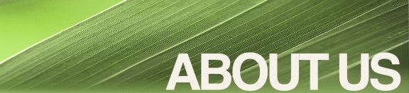 About-Us-banner